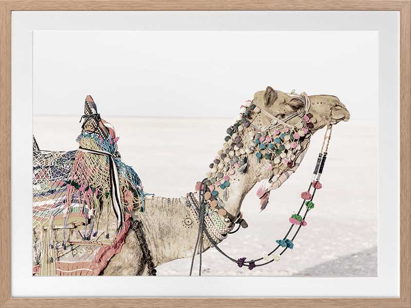 Globe Trotter Poster Framed Art Print