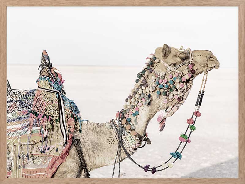 Globe Trotter Poster Framed Art Print