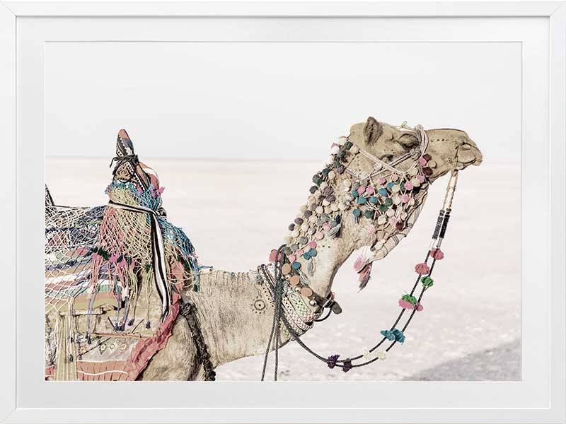 Globe Trotter Poster Framed Art Print