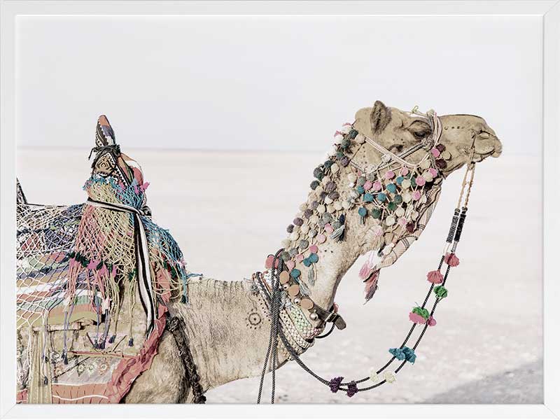 Globe Trotter Poster Framed Art Print