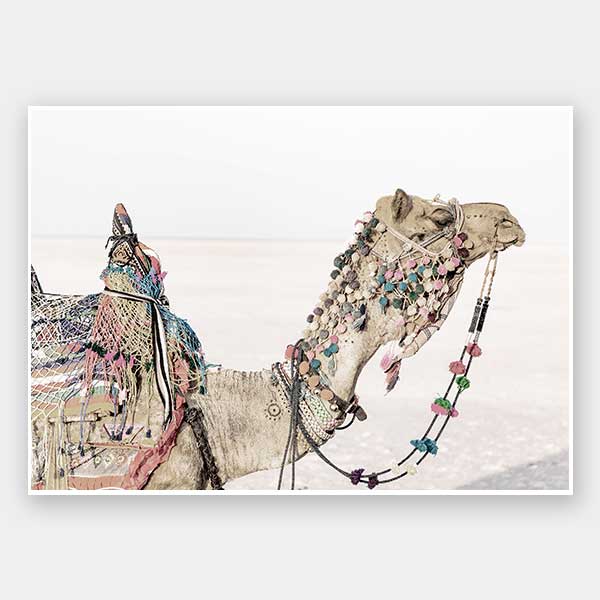 Globe Trotter Unframed Art Print