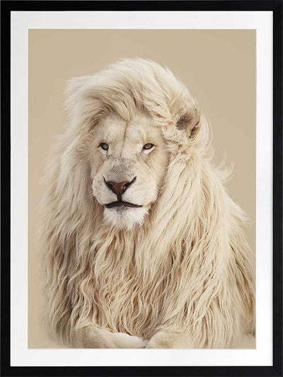 Lion King Poster Framed Art Print