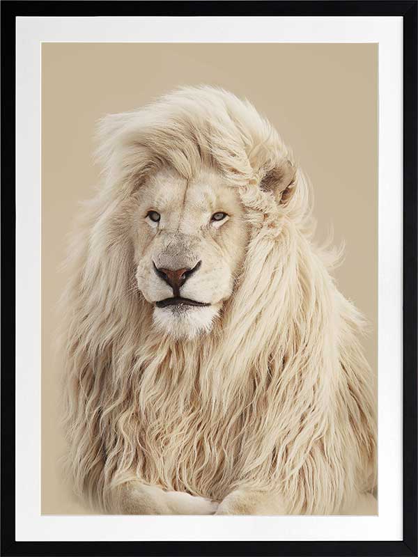 Lion King Poster Framed Art Print