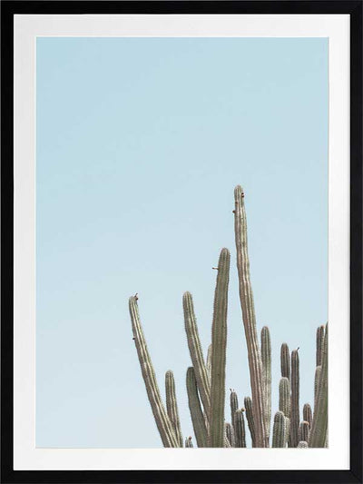 A Bit Spiky Poster Framed Art Print