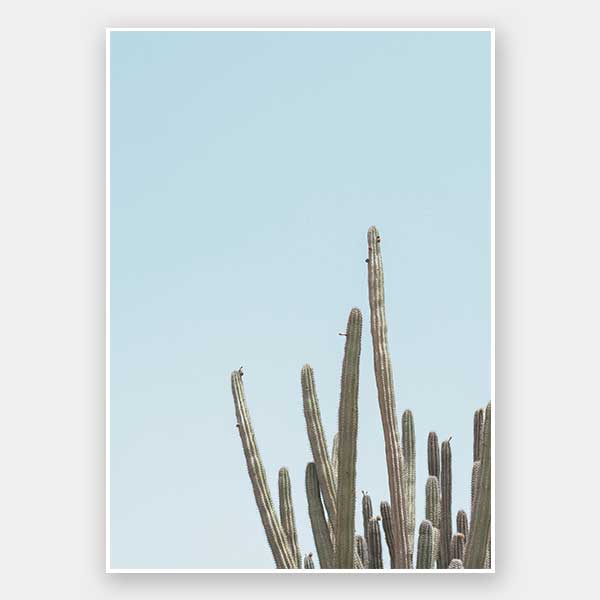 A Bit Spiky Unframed Art Print