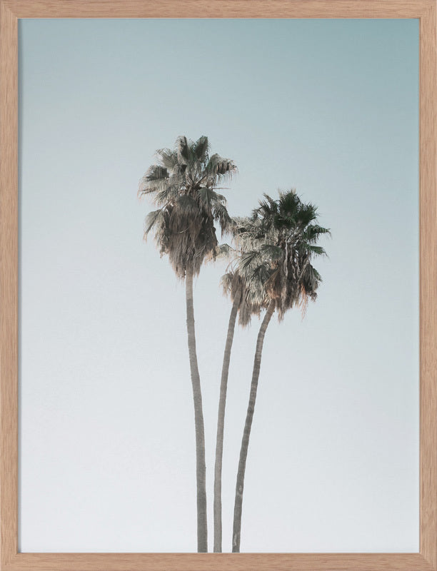 Lone Palms Poster