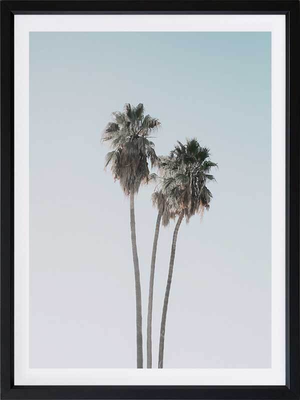 Lone Palms Poster