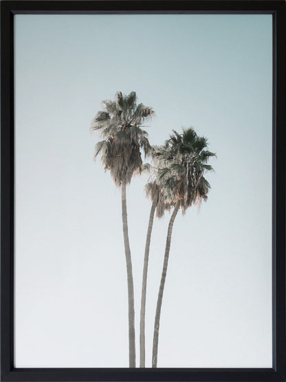 Lone Palms Poster