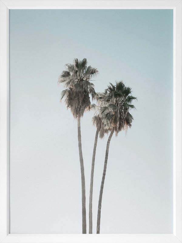 Lone Palms Poster