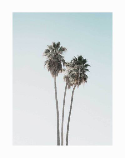 The Lone Palms Unframed Art Print by Urban Road features two lush green palms set against a pastel blue sky, creating a minimal and serene scene with soft light and an airy feel.