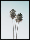 Lone Palms Canvas Art Print