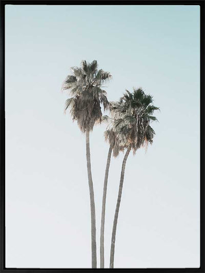 Lone Palms Canvas Art Print