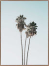 Lone Palms Canvas Art Print