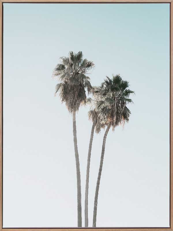 Lone Palms Canvas Art Print