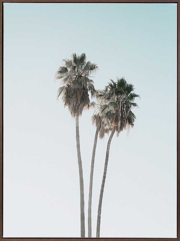 Lone Palms Canvas Art Print