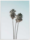 Lone Palms Canvas Art Print