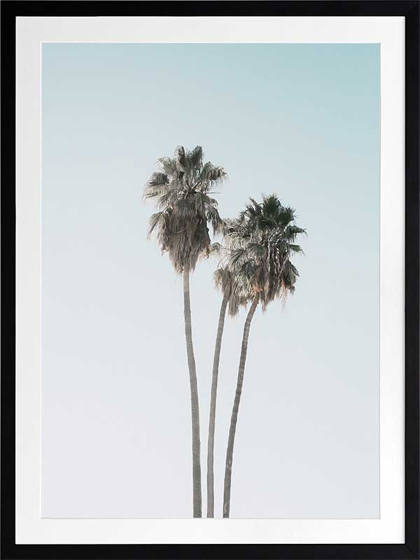 Lone Palms Poster Framed Art Print