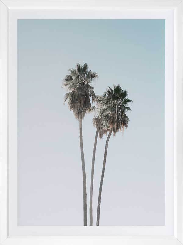 Lone Palms Poster