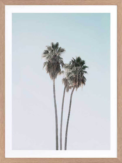 Lone Palms Poster