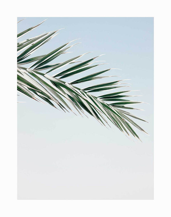 The Slim Shady Unframed Art Print by Urban Road features a single palm frond set diagonally against a pastel blue gradient sky, creating a minimal and serene design inspired by Severin D.