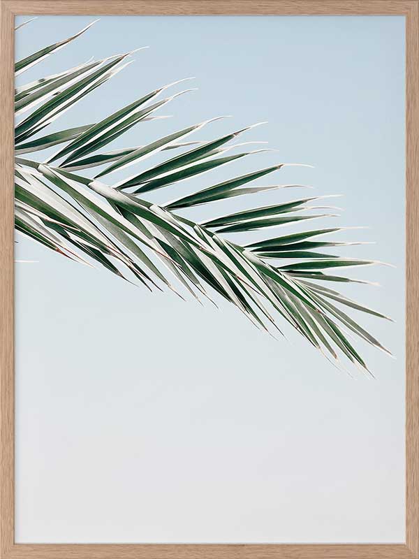 Slim Shady Poster Framed Art Print