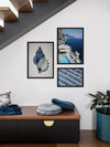Indigo Conch II Poster Framed Art Print | Lifestyle