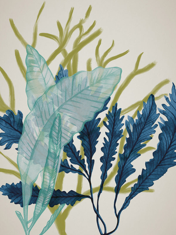 Dart Reef Canvas Art Print