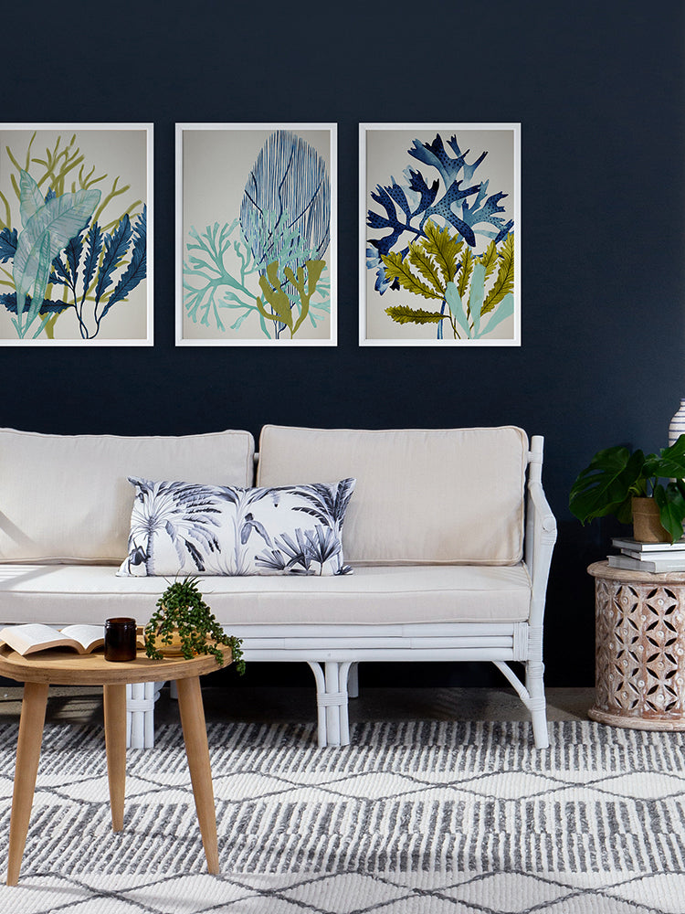 Dart Reef Poster Framed Art Print | Lifestyle