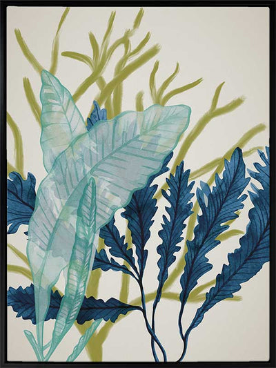 Dart Reef Canvas Art Print