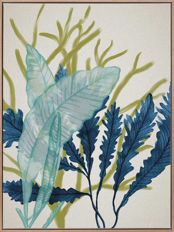 Dart Reef Canvas Art Print