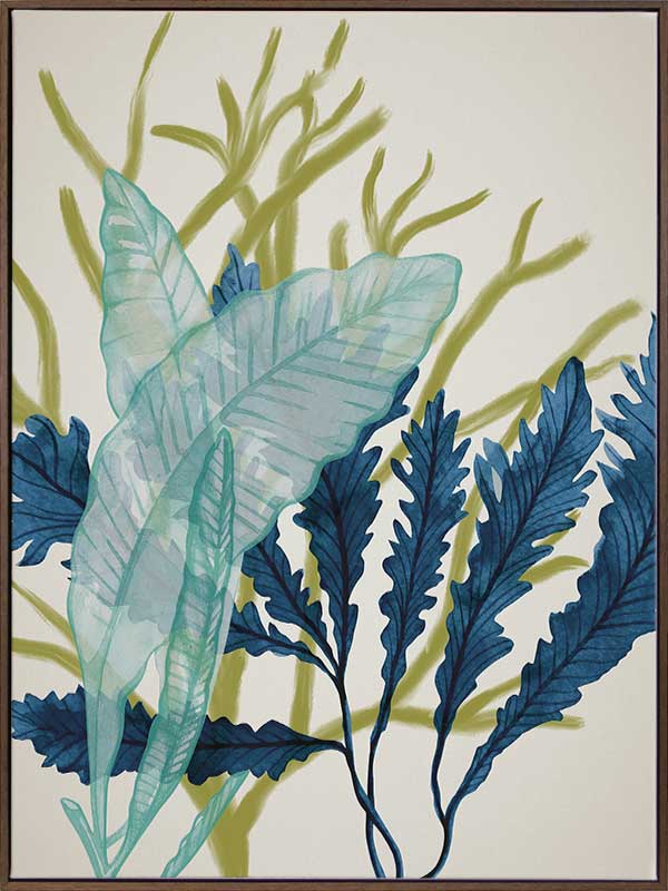 Dart Reef Canvas Art Print