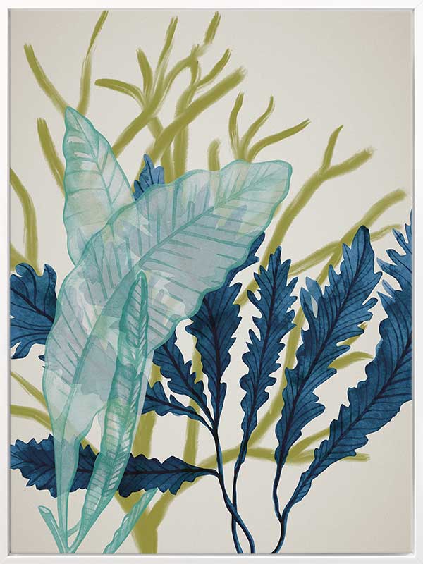 Dart Reef Canvas Art Print