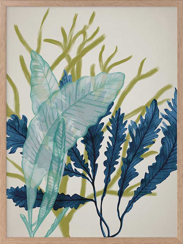 Dart Reef Poster Framed Art Print