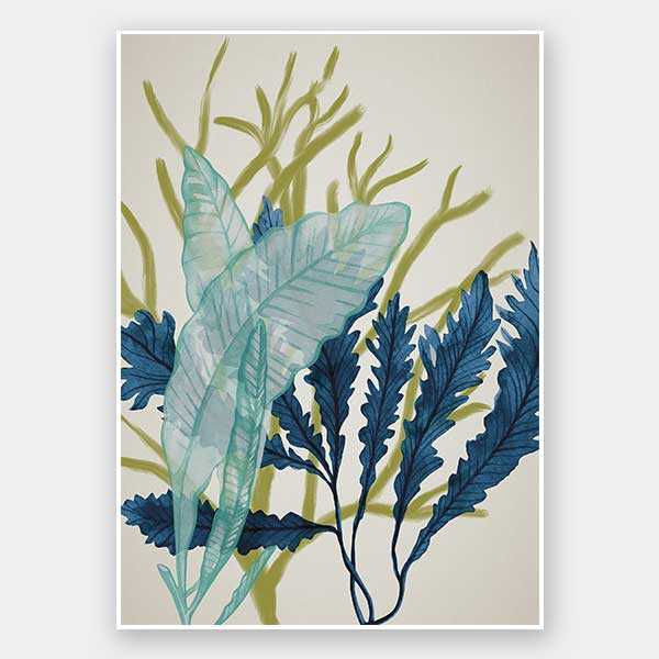 Dart Reef Unframed Art Print