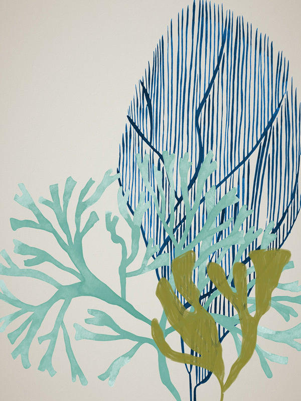 Osprey Reef Unframed Art Print