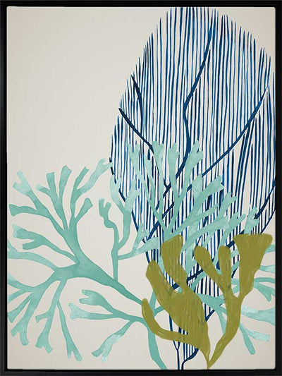 Osprey Reef Canvas Art Print