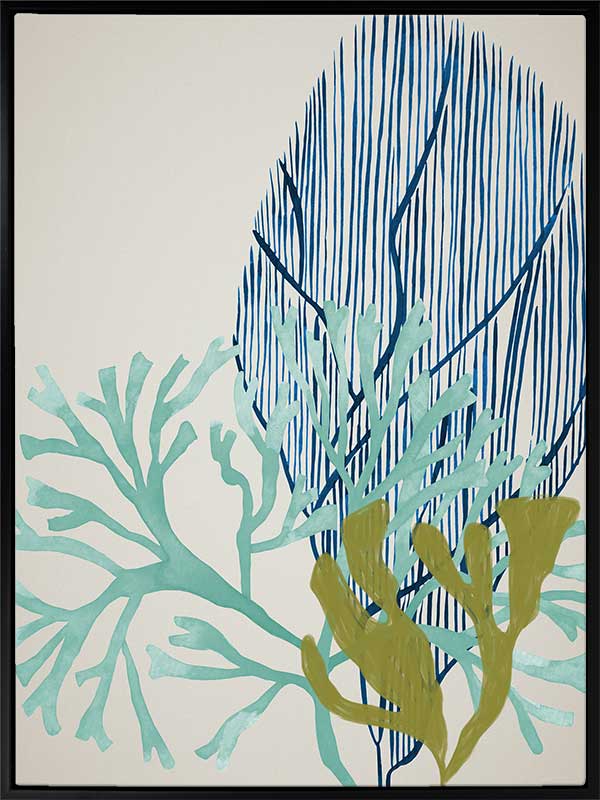 Osprey Reef Canvas Art Print