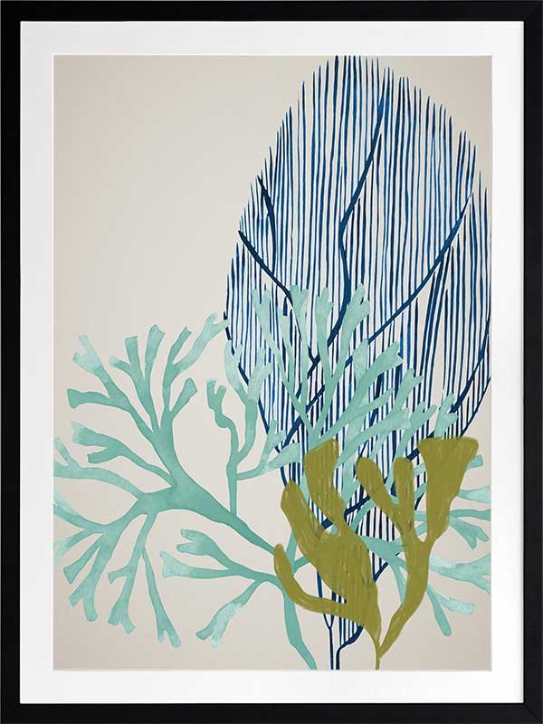 Osprey Reef Poster Framed Art Print