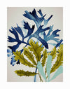 The Marion Reef Unframed Art Print by Urban Road features two stylized plants—one with blue, spiky, dotted leaves and another with long, narrow yellow-green leaves—set against a light beige background for a Hampton's-inspired look.