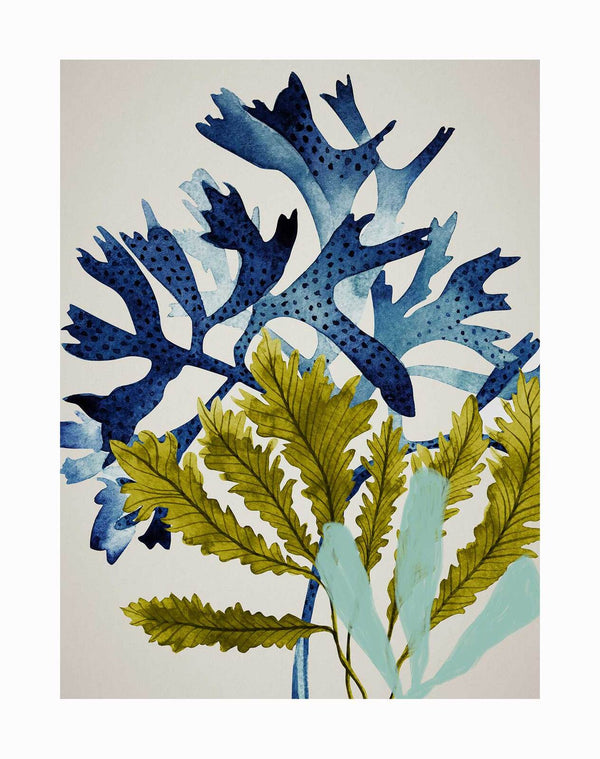 The Marion Reef Unframed Art Print by Urban Road features two stylized plants—one with blue, spiky, dotted leaves and another with long, narrow yellow-green leaves—set against a light beige background for a Hampton's-inspired look.