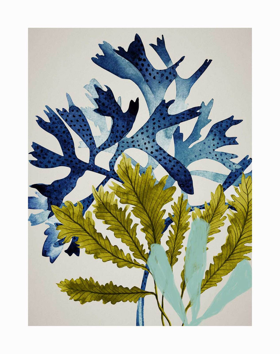 The Marion Reef Unframed Art Print by Urban Road features two stylized plants—one with blue, spiky, dotted leaves and another with long, narrow yellow-green leaves—set against a light beige background for a Hampton's-inspired look.