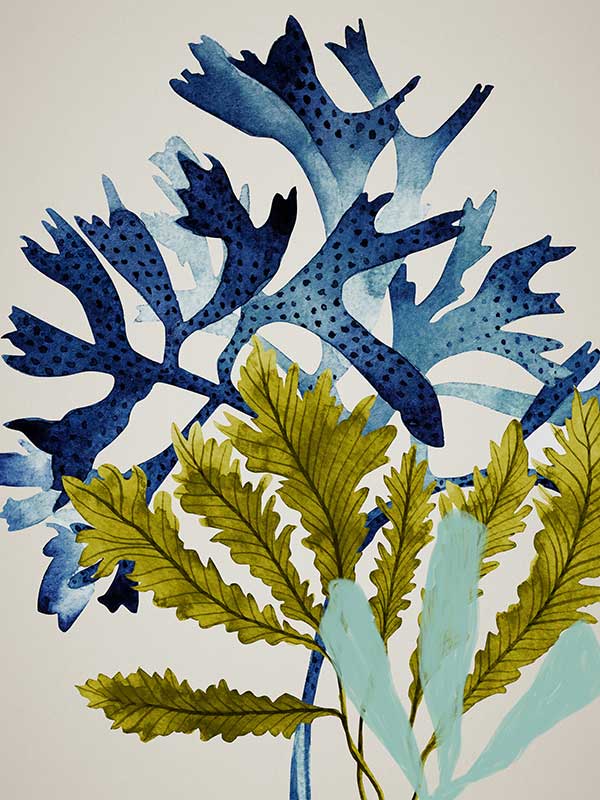 Marion Reef Canvas Art Print