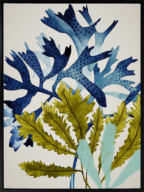 Marion Reef Canvas Art Print