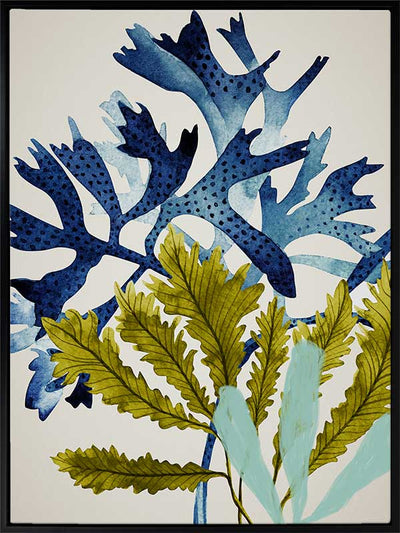 Marion Reef Canvas Art Print