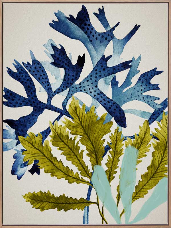 Marion Reef Canvas Art Print