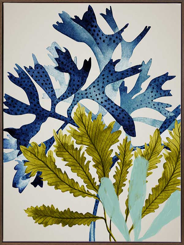 Marion Reef Canvas Art Print