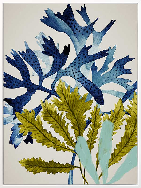 Marion Reef Canvas Art Print