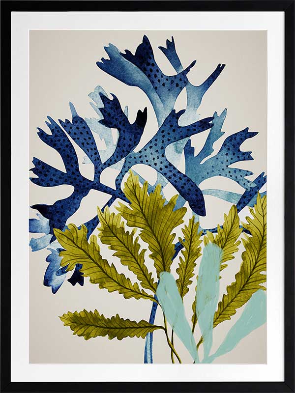 Marion Reef Poster Framed Art Print