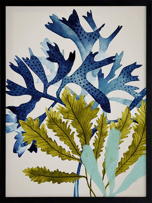 Marion Reef Poster Framed Art Print