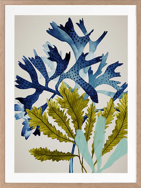 Marion Reef Poster Framed Art Print